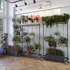Clothing racks made from dark iron pipes with wheels and a shelf on the top used in a flower store